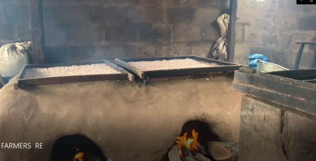 A coastal fishmonger’s honest view on climate change and the search for sustainable alternatives