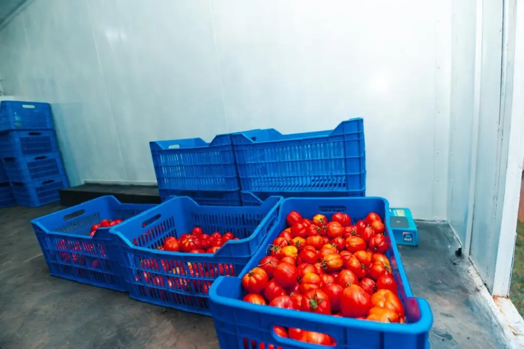 AkoFresh launches mobile cold storage trailer to cut post-harvest losses