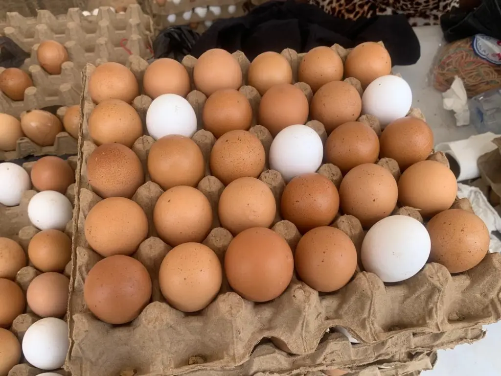 MGL's May Day Egg market ends in resounding success as crowds turn out for affordable eggs