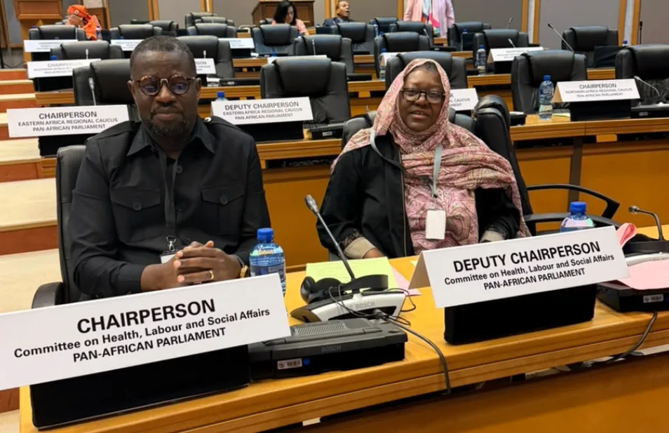 Pan-African Parliament turns to traditional medicine to cut maternal and infant deaths