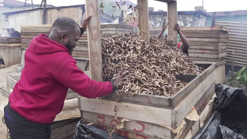 Climate Evidence: Chorkor fishmongers trapped between livelihood and harmful smoke exposure Climate Evidence: Chorkor fishmongers trapped between livelihood and harmful smoke exposure