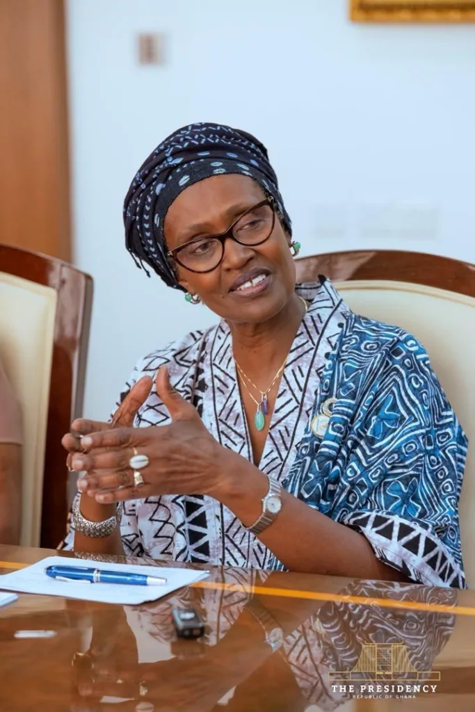President Mahama discusses health-related matters with top UN officials