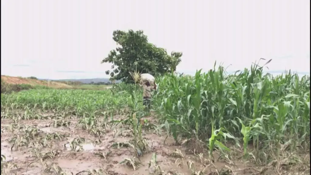Farmers face rising poverty and insecurity in northern Ghana due to climate pressures Farmers face rising poverty and insecurity in northern Ghana due to climate pressures
