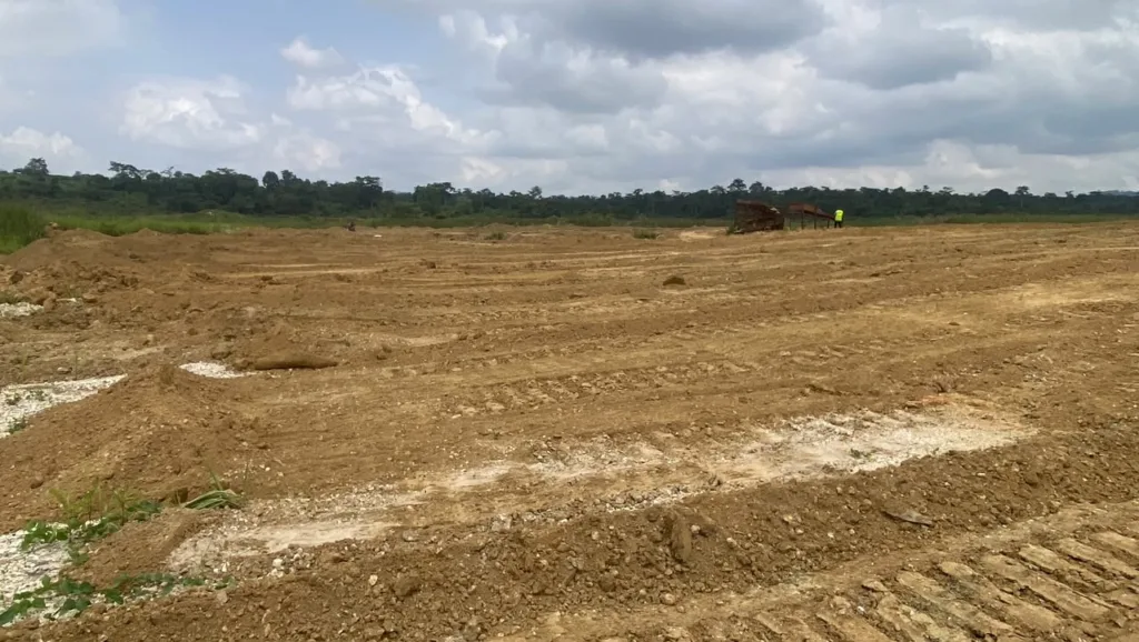 20 acres of illegal mining-degraded land reclaimed at Nweneso following National Security clampdown