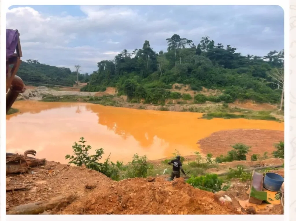 NAIMOS intensifies galamsey crackdown, arrests 40 and seizes mining equipment across six regions NAIMOS intensifies galamsey crackdown, arrests 40 and seizes mining equipment across six regions