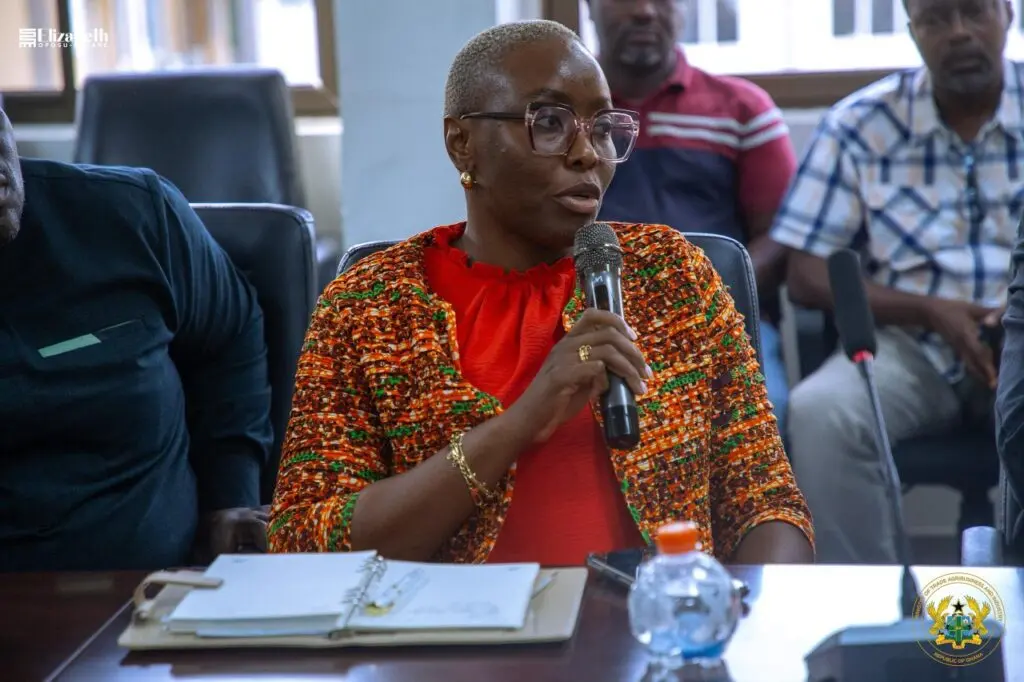 Balancing compliance and trade: Stakeholders chart way forward on free zones directive