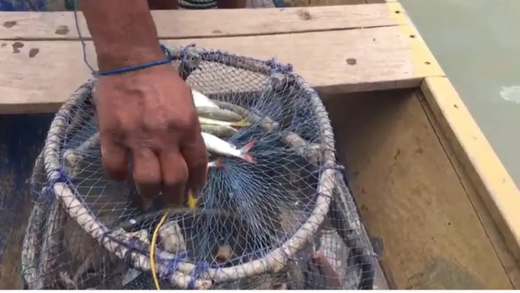 Climate change and pollution threaten livelihoods of White Volta fishermen