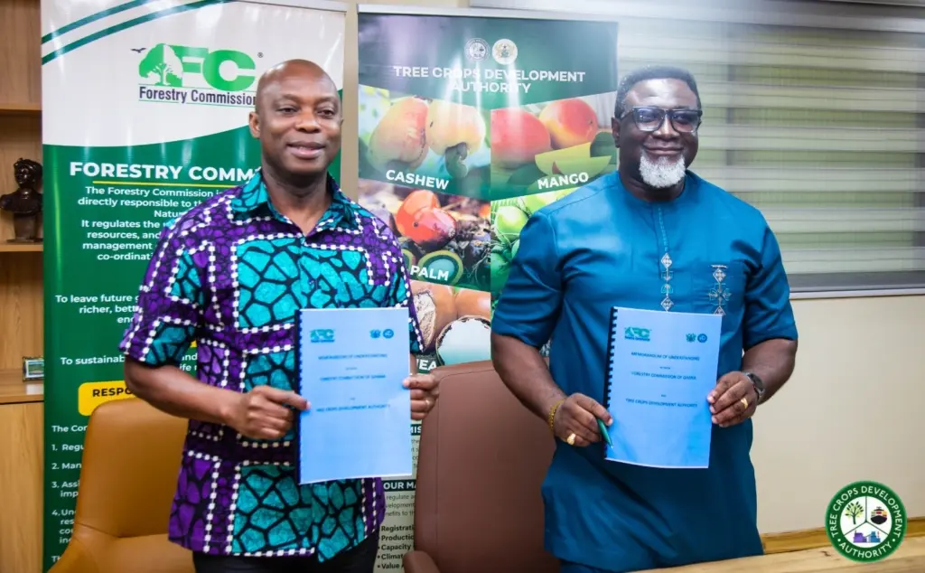 TCDA, Forestry Commission roll out nationwide crackdown on tree crop transport TCDA, Forestry Commission roll out nationwide crackdown on tree crop transport