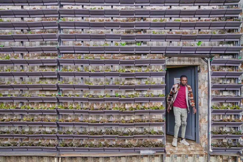 Rwanda's capital embraces urban farming as development squeezes rare land