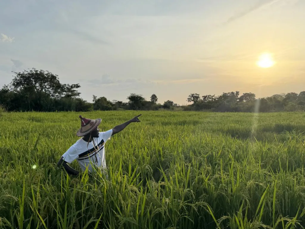 If farming is profitable, why aren’t you farming? - The question that changed everything for National Best Youth Farmer