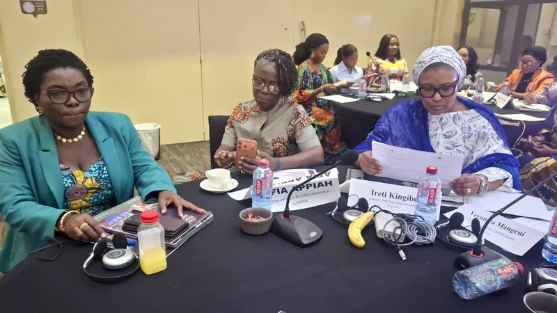 Parliaments must prioritise gender-responsive budgets to fight violence against women and girls - Kenyan advocate