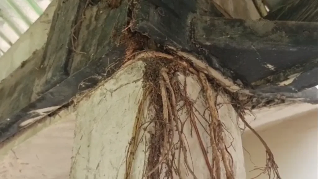Nkwanta South Municipal Hospital appeals for support as infrastructure deteriorates (Photos) Nkwanta South Municipal Hospital appeals for support as infrastructure deteriorates (Photos)