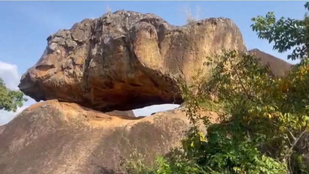 TanoBoase Sacred Grove: Dzifa Gomashie pledges year-end commissioning as eco-tourism gem awaits revival