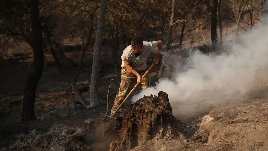 Thousands in Spain return home but new heatwave raises wildfire fears Thousands in Spain return home but new heatwave raises wildfire fears