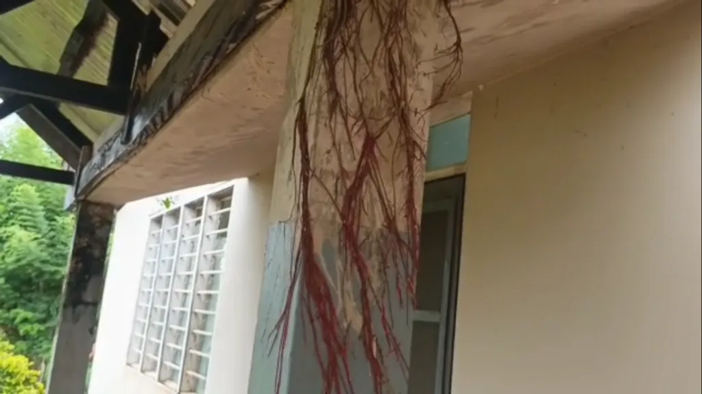 Nkwanta South Municipal Hospital appeals for support as infrastructure deteriorates (Photos) Nkwanta South Municipal Hospital appeals for support as infrastructure deteriorates (Photos)