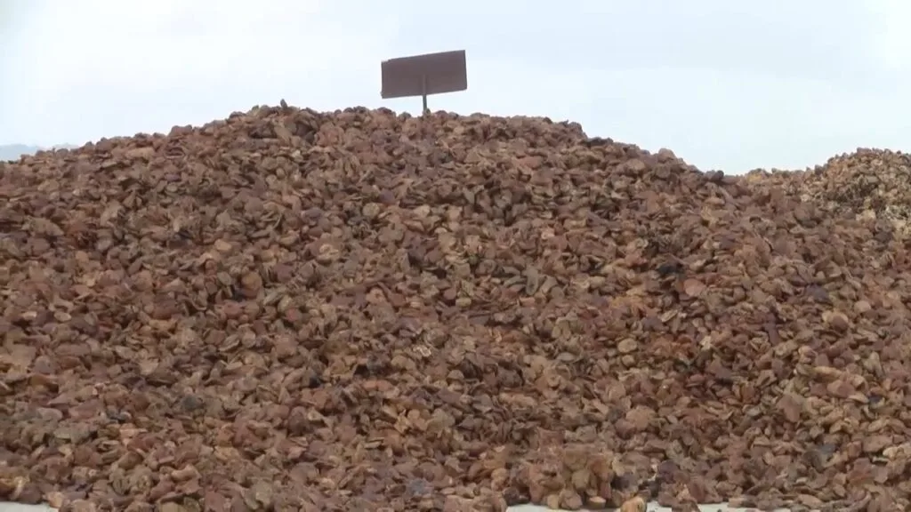 RUPAG rejects claims raw rubber export ban is hurting farmers, defends policy