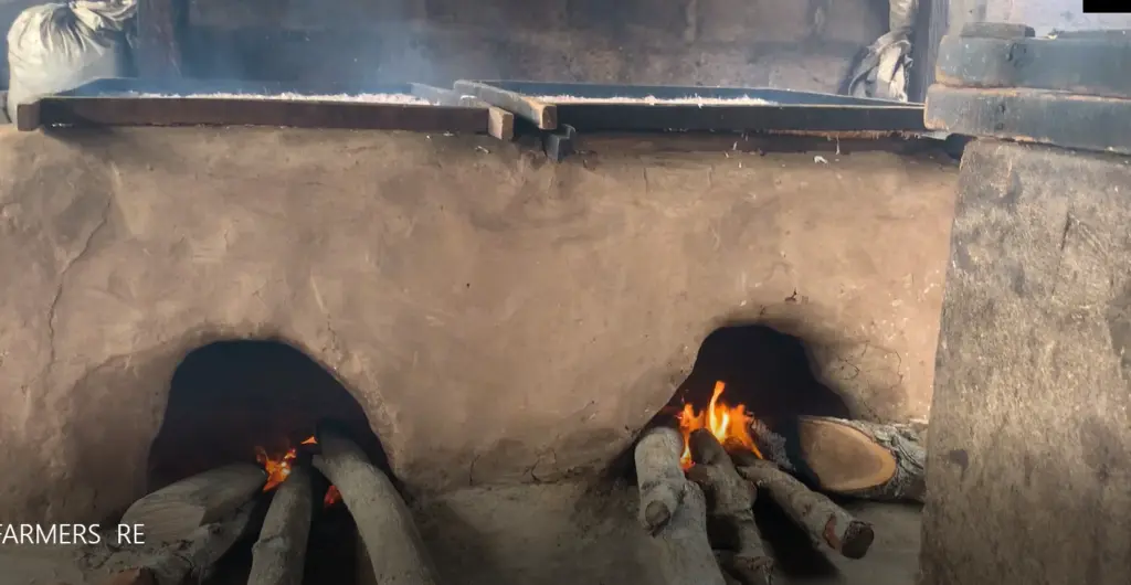 A coastal fishmonger’s honest view on climate change and the search for sustainable alternatives