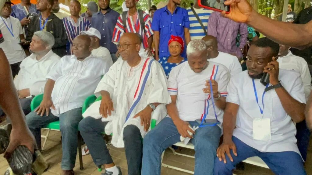 NPP polls: Makafui Woanya re-elected as Volta Regional Chairman
