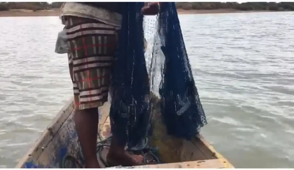 Climate change and pollution threaten livelihoods of White Volta fishermen