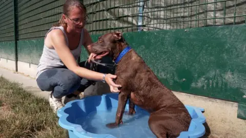 Reuters Audrey Collin, kennel team leader, pets a dog named Tatane cooling off in a plastic paddling pool at the SPA animal shelter in Gennevilliers, near PariS