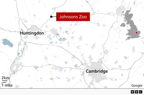 Map of eastern England showing the location of Johnsons Zoo near Huntingdon, north-west of Cambridge. A red label marks the site, with nearby towns including Huntingdon and Cambridge labelled. Major roads and waterways are shown and an inset map highlights the location within the UK.