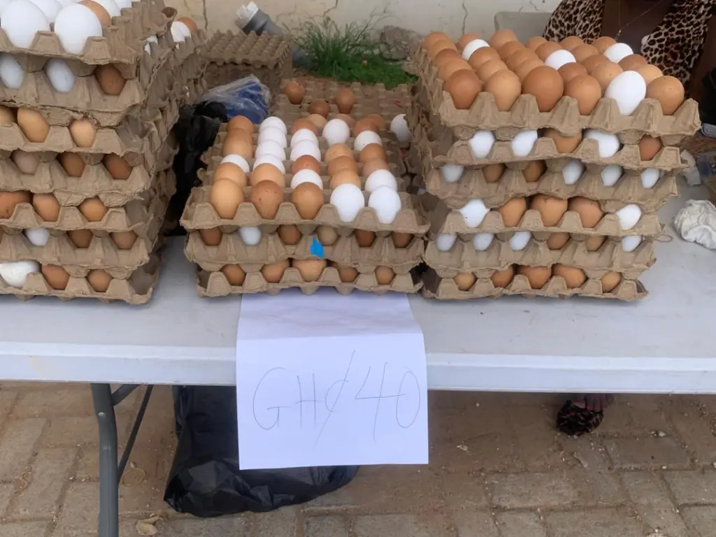 MGL's May Day Egg market ends in resounding success as crowds turn out for affordable eggs