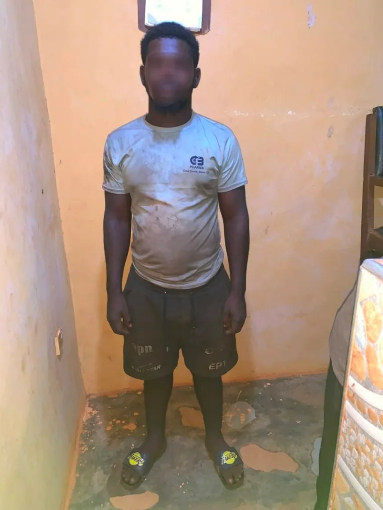 Police arrest four, intercept 118 bags of cocoa destined for Togo
