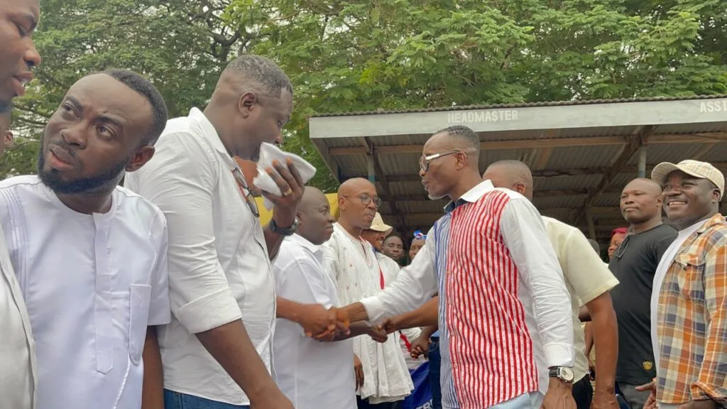 NPP polls: Makafui Woanya re-elected as Volta Regional Chairman