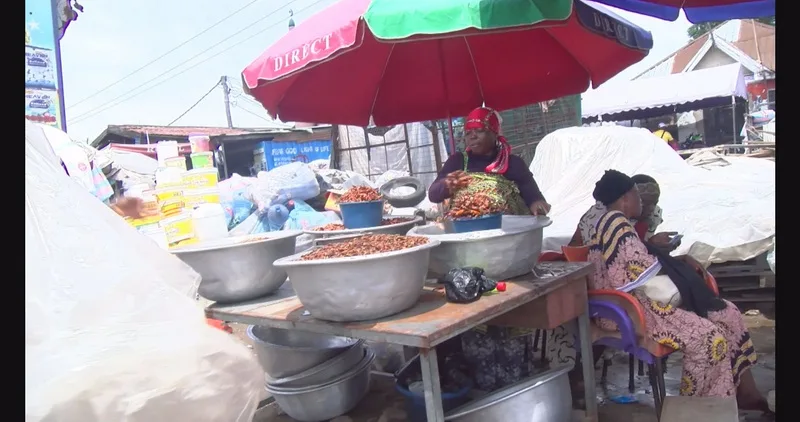 Toxic Milk: How e-waste pollution at Agbogbloshie is contaminating Ghana's food chain