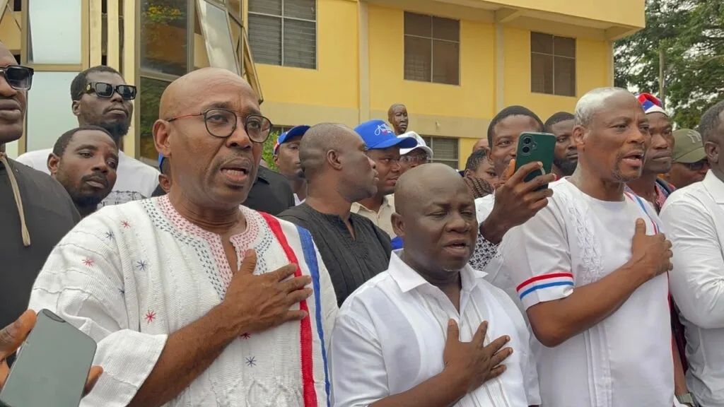 NPP polls: Makafui Woanya re-elected as Volta Regional Chairman