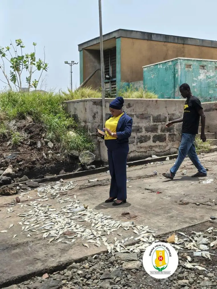 Ghana Health Service responds to dead fish incident at Tema Port