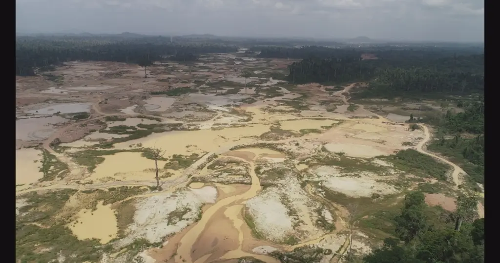 Galamsey Chemicals and Air Pollution linked to rising Diabetes risk in children