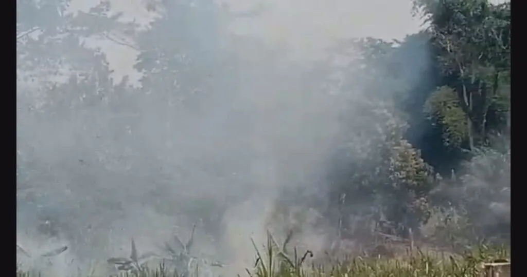 Ghana farmers' burning practices fuel growing air pollution and environmental crises