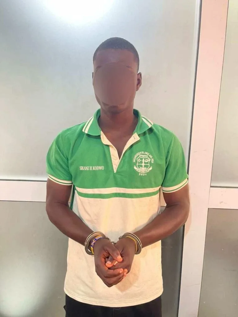 Police arrest Israel Kwadwo Akofena Safo and 2 others over Adwoa Safo shooting incident