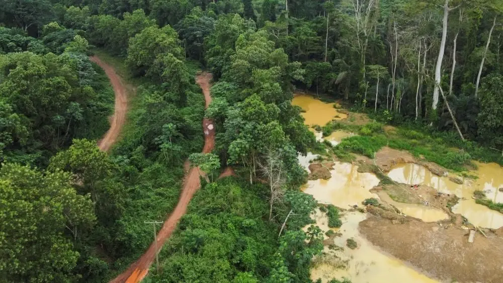 60% of our water bodies are polluted - Minority Chief Whip pushes Ecocide Law