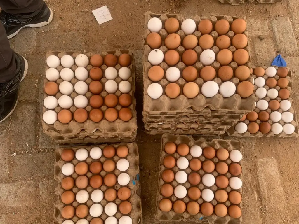 MGL's May Day Egg market ends in resounding success as crowds turn out for affordable eggs
