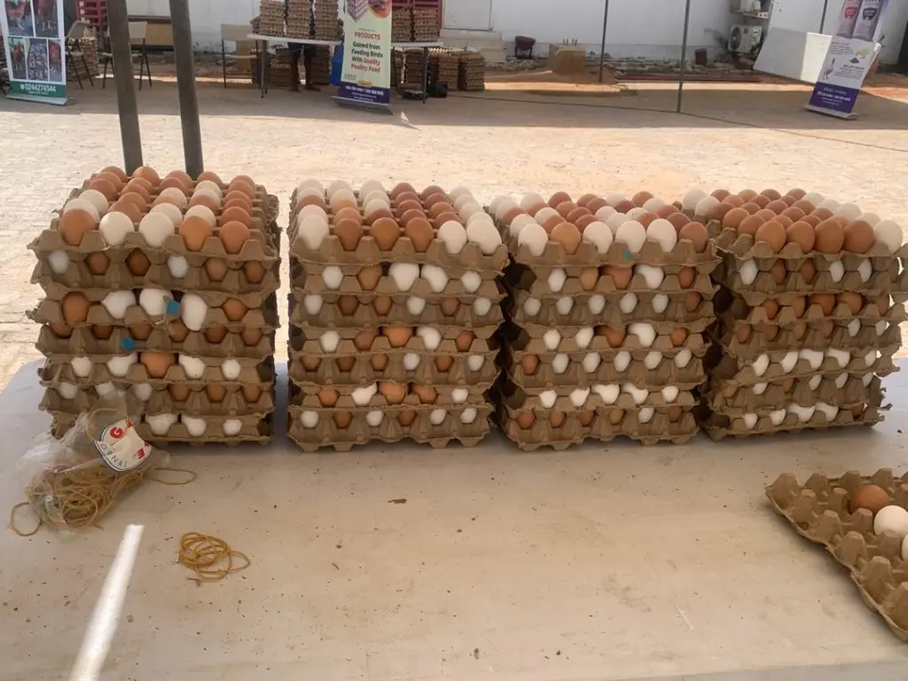MGL's May Day Egg market ends in resounding success as crowds turn out for affordable eggs