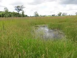 Urban Flooding in Ghana: Examining the role of planning authorities