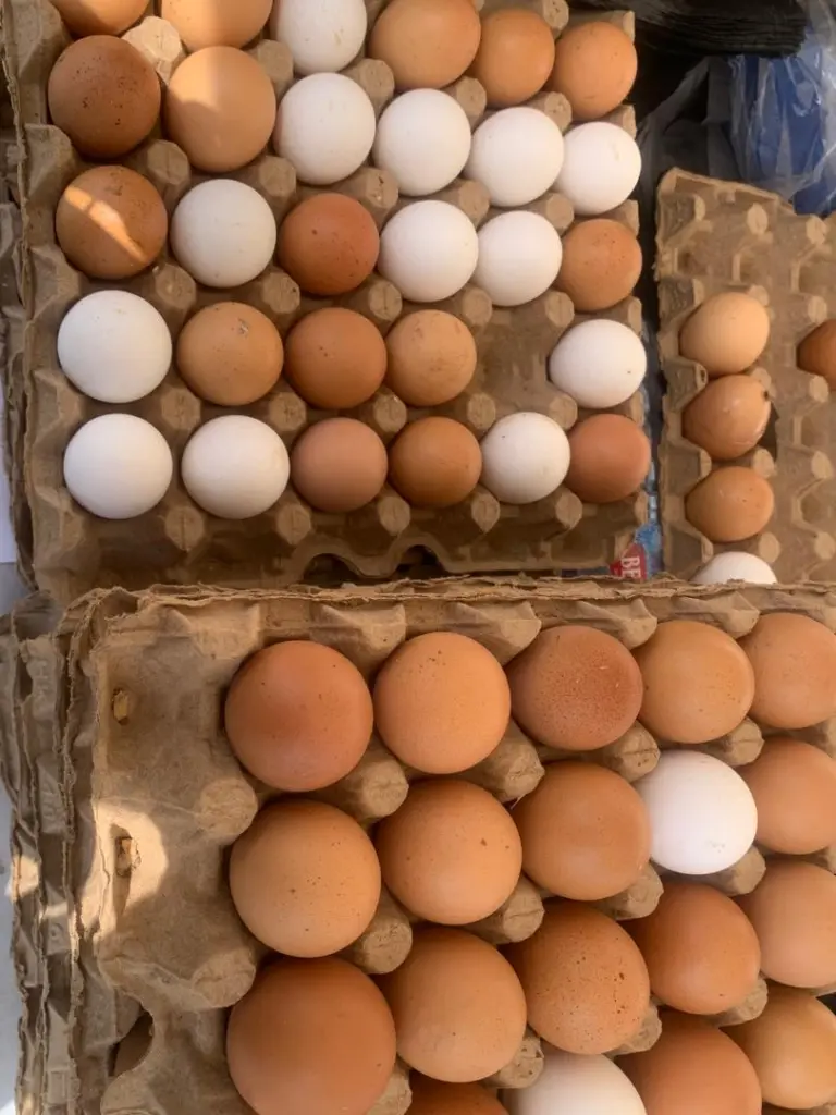 MGL's May Day Egg market ends in resounding success as crowds turn out for affordable eggs