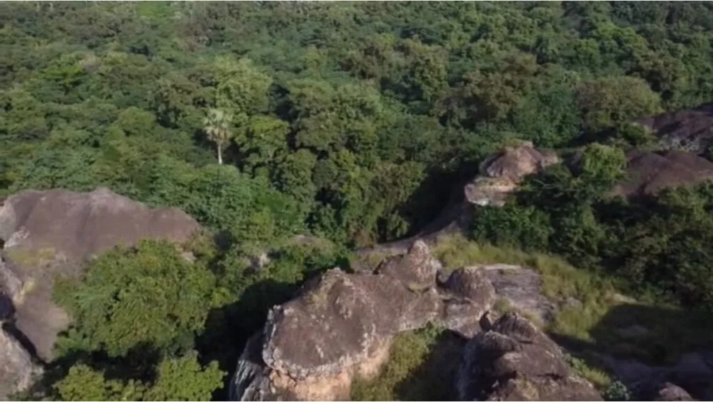 TanoBoase Sacred Grove: Dzifa Gomashie pledges year-end commissioning as eco-tourism gem awaits revival