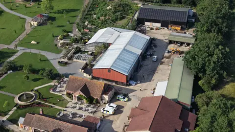 Ant Saddington/BBC A drone image from above a farm and zoo. There are several large buildings housing enclosures as well as outdoor areas. Some vehicles can be seen parked around the site.