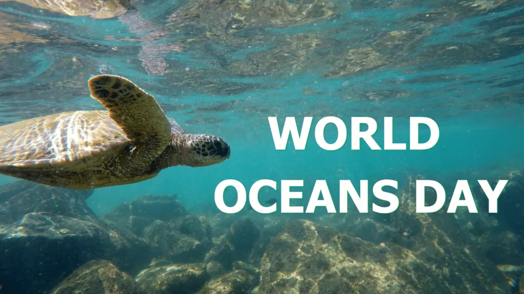 World Oceans Day 2026: Why protecting the ocean is critical for climate, jobs and the future of the planet