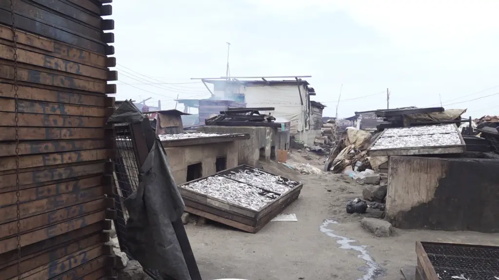 Climate Evidence: Chorkor fishmongers trapped between livelihood and harmful smoke exposure Climate Evidence: Chorkor fishmongers trapped between livelihood and harmful smoke exposure