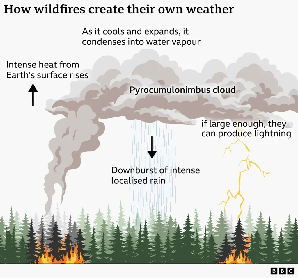 Devastating European wildfires in maps - and how they're being tackled
