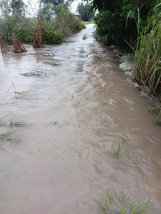 Weta rice farming community hit by devastating floods
