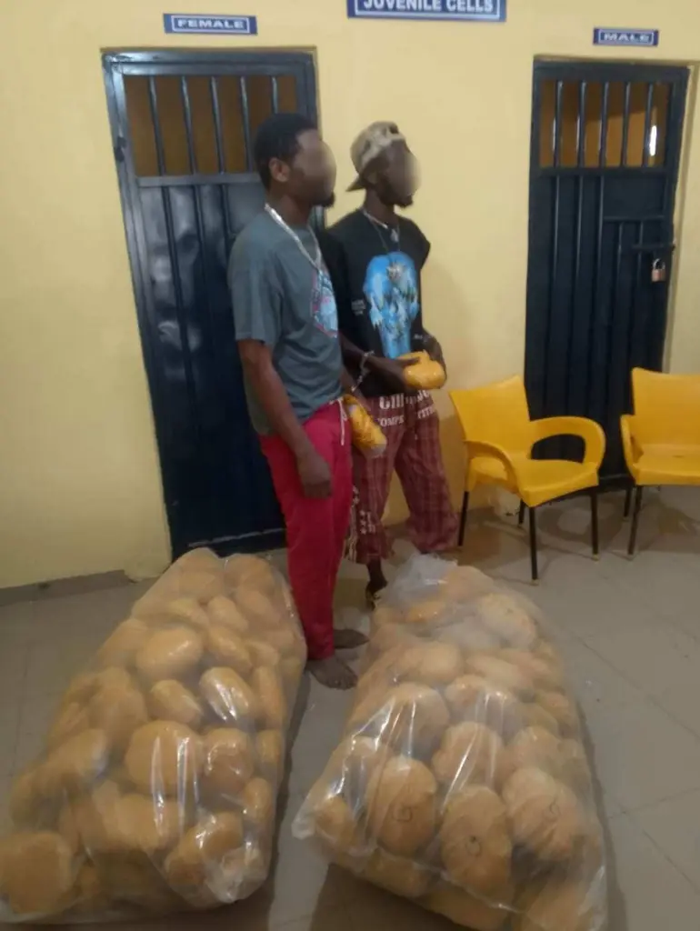 Two arrested in Kintampo with suspected cannabis worth over GH¢100,000