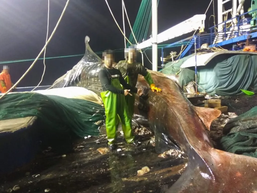 15 countries adopt Mombasa Declaration to advance fisheries transparency and combat illegal fishing