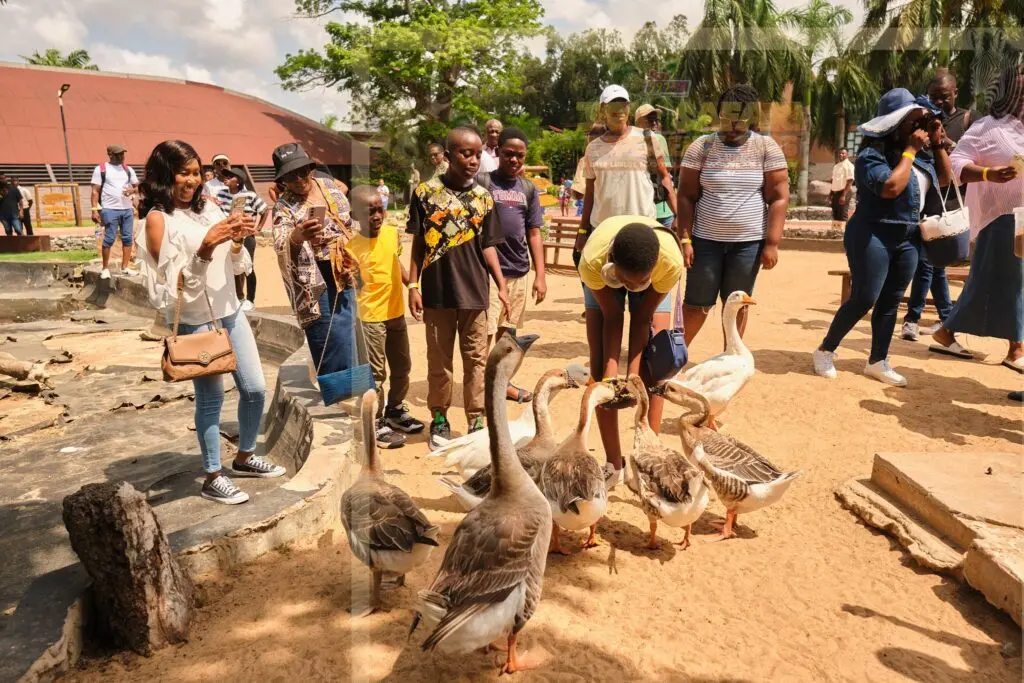 Thrills, laughter, awe and wild encounters mark first day of Joy FM’s 'Joy Safari Experience 2026'
