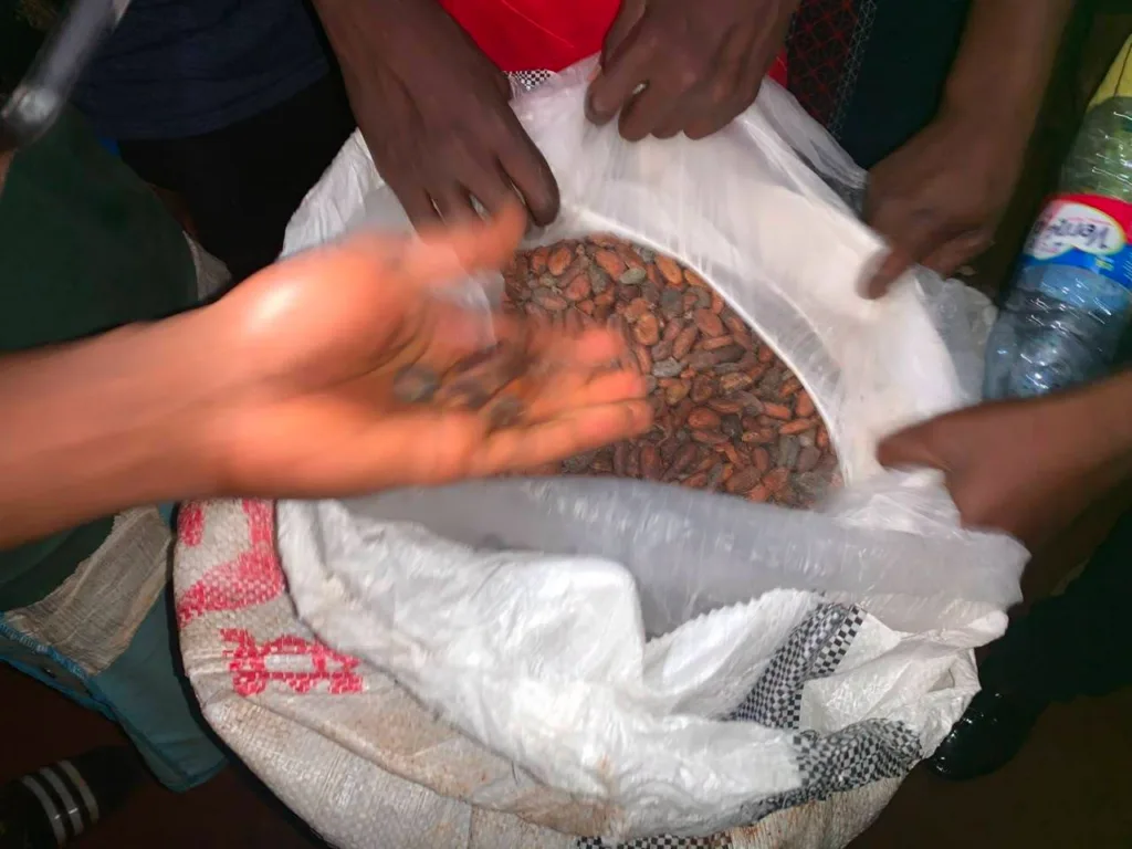 Four arrested for concealing 118 bags of cocoa in truck carrying plantains