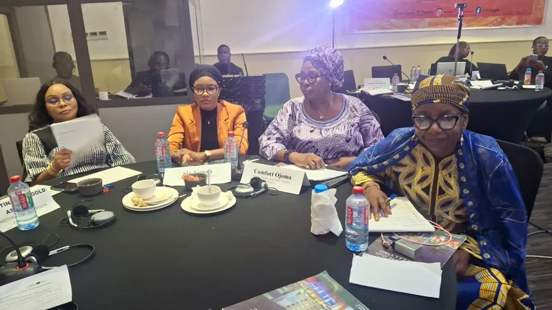 Parliaments must prioritise gender-responsive budgets to fight violence against women and girls - Kenyan advocate
